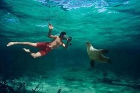 一线吃瓜娱乐圈_海底见月,一线吃瓜达人海底见月，揭秘明星幕后故事