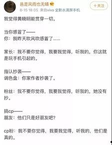 娱乐吃瓜酱年度报告,盘点娱乐圈风云变幻，揭秘明星幕后故事