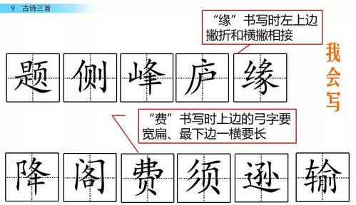 娱乐吃瓜四字成语大全及解释