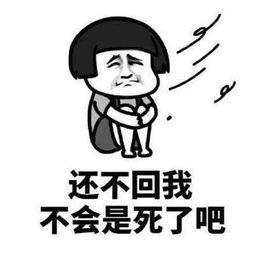 吃瓜表情包怎么回复女孩子,轻松回应女孩子的幽默互动