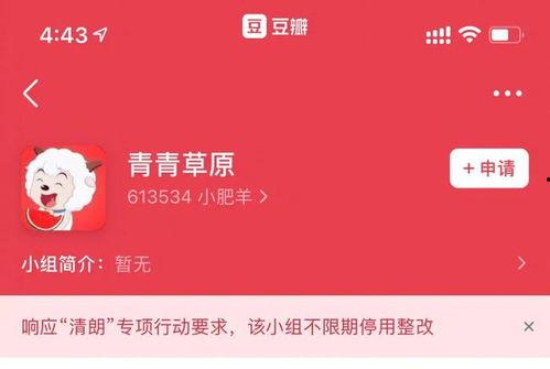 吃瓜鹅娱乐速报的主页,最新娱乐圈动态，揭秘明星幕后故事